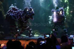 Pertunjukan Barongsai di Kolam Seaworld Meriahkan Imlek 2570