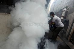 Cegah DBD, Rescue Perindo DPD Jakpus Gelar Fogging Untuk Warga Paseban