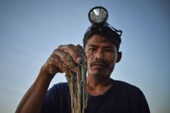 Ribuan Warga Ikuti Festival Pesona Bau Nyale 2019