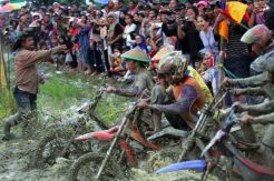 126 Petani Ikuti Turnamen Ojek Gabah di Kabupaten Konawe
