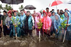 Indonesia Power Lakukan AKsi Tanam Mangrove di Labuan