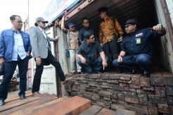 KLHK Amankan 384 Kontainer Kayu Ilegal Asal Papua