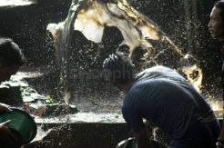 Tradisi Nyadran dan Nguras Sendang Gede di Semarang