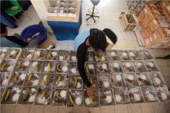 Melihat Persiapan Memasak Menu Buka Puasa di Masjid Istiqlal