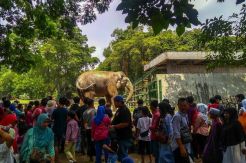 Pengunjung Padati Taman Margasatwa Ragunan