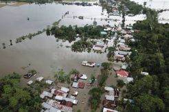 5.360 Hektare Sawah di Konawe Terendam Banjir