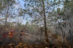 Satgas Karhutla Padamkan Kebakaran Lahan Gambut di Kabupaten Kampar