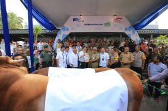 Grup Astra Tebar 2.143 Ekor Hewan Kurban Ke 34 Provinsi