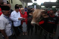 Telkomsel Serahkan 751 Ekor Hewan Kurban