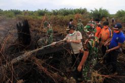 Tim Gabungan Berjibaku Padamkan Kebakaran Lahan Gambut di Aceh Barat