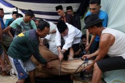 BTN Sembelih 1.337 Ekor Hewan Kurban