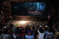 Persiapan Pengibaran Bendera Merah Putih Dalam Air Sea World Ancol