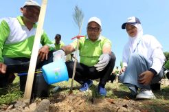 Meriahkan HUT Ke-74 RI, Pertamina Tanam 10.000 Pohon di Tuban