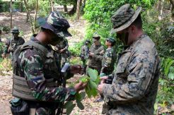 Marinir Indonesia dan USMC Berlatih Survival di Hutan