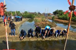 Kerapu Ajak Mahasiswa dan Warga Tanam Mangrove di Pesisir Kendal