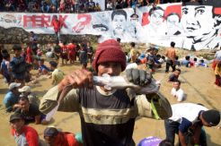 Tradisi Bedah Bendungan Sebar 3 Kwintal Ikan Lele