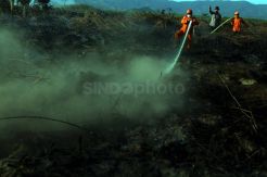 Kebakaran Lahan Gambut di Sultra Semakin Luas
