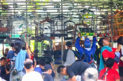 Ratusan Pecinta Burung Ikuti Lomba Burung Berkicau di DPR RI