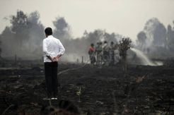 Presidan Jokowi Tinjau Penanganan Kebakaran Lahan di Riau