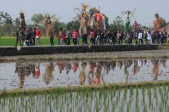 Memedi Sawah Diarak dalam Kirab Budaya Mbok Sri Mulih di Klaten