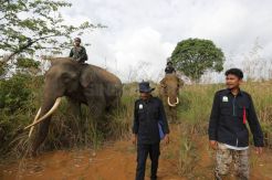 Patroli dan Penanganan Konflik Gajah