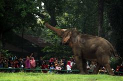 Ragunan Jadi Pilihan Warga Rekreasi Liburan Natal