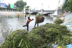 Musim Hujan Tiba, Pemkot Surabaya Bersih-Bersih Sungai Kalimas