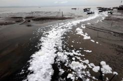 Pantai Kenjeran Surabaya Tercemar Limbah Rumah Tangga