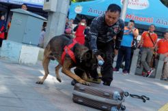 Detasemen K-9 Mabes Polri Gelar Simulasi Deteksi Narkoba