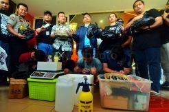 Kepolisian Gerebek Home Industri Ganja Sintetis di Apartemen