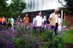 Rumah Atsiri, Semerbak Mewangi Tanaman di Kaki Gunung Lawu