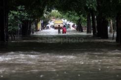 Jalan Basoka Raya Joglo Terendam Banjir