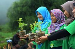Siap Darling Ajak Ratusan Mahasiswa Hijaukan Komplek Gedong Songo