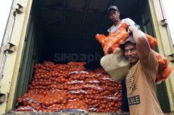 Terimbas Corona, Harga Bawang Bombai Melonjak Tinggi