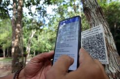 Menjelajah Hutan Masa Kini di Bukit Peramun