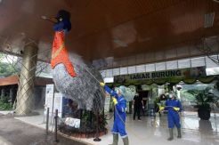 Cegah Penyebaran Virus Corona, Taman Burung TMII Disemprot Disinfektan