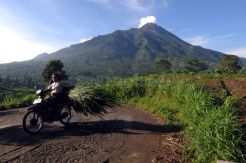 Gunung Merapi Kembali Erupsi, Tinggi Kolom 1.500 Meter