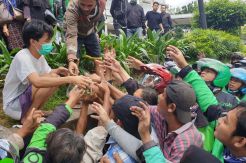 Viral, Seorang Remaja Bagikan Uang dan Masker ke Driver Ojol