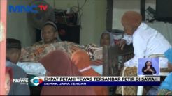 Empat Petani Tewas Disambar Petir Saat Panen Padi di Sawah
