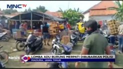 Cegah Persebaran Corona, Polisi Bubarkan Adu Burung Merpati di Madura
