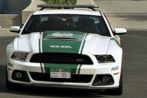 Mustang