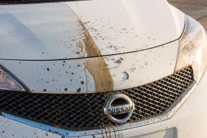 Ultra-Ever Dry Nissan