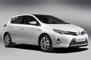 auris