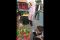 Ayam Ramadhan