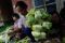 Kampung Ketupat