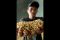 Harga Kedelai Tinggi