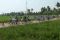 Saan Mustopa Cup