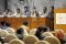 Papua dan Terorisme
