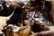 Harga Hewan Qurban