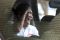 Deddy Mizwar Lapor Kekayaan